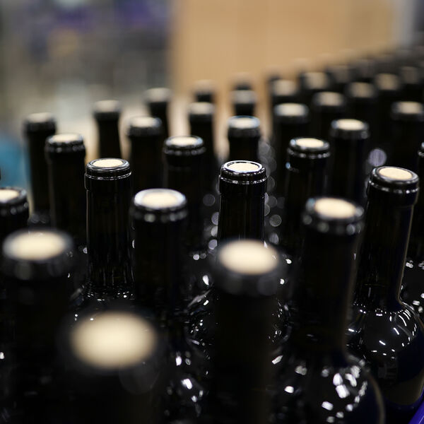 Борьба с «пристрастием»: в России хотят запретить продажу безалкогольных пива и вина детям