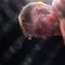 Боец UFC Волков нокаутировал Вердума в Лондоне