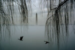 Монумент Вашингтону в тумане над рекой Потомак, Вашингтон, США, 25 января 2024 года