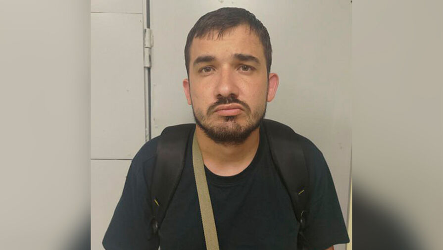 В аэропорту Домодедово задержали мужчину, разыскиваемого через Интерпол