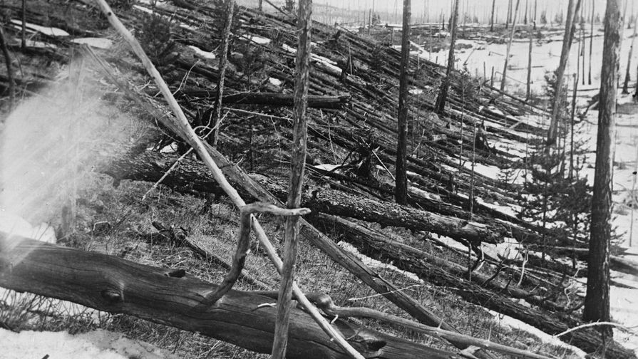 Вид обгоревшего леса в районе взрыва Тунгусского метеорита