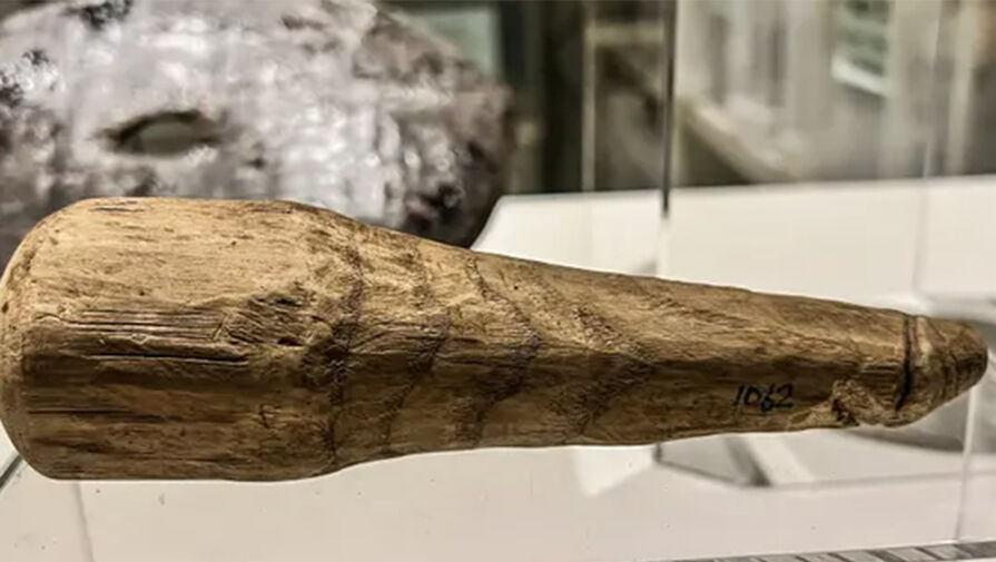 Деревянный предмет, найденный в 1992 году в Нортумберленде, оказался древнеримским фаллосом