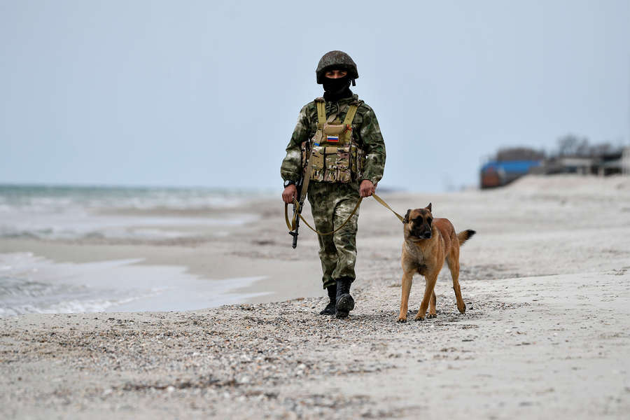 Военный кинолог с собакой патрулируют разминированный пляж в Херсонской области