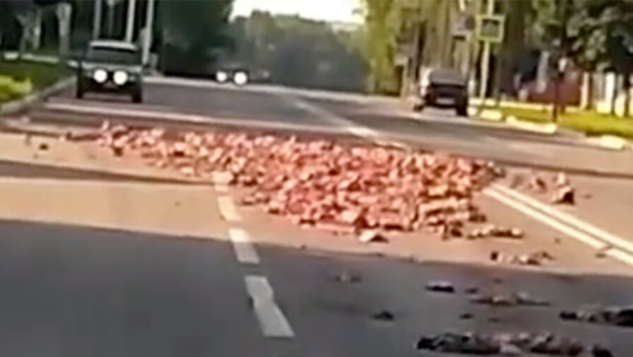 В Курской области КамАЗ рассыпал по проезжей части свиные кишки