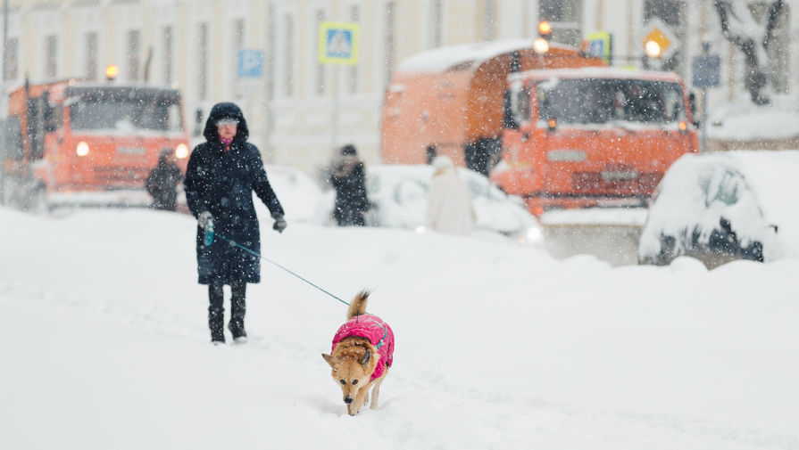 Последствия снегопада в Москве, 4 февраля 2018 года