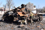 Кинолог батальона «Спарта» со служебной собакой осматривают разрушенный танк на одной из улиц в городе Волноваха, март 2022 года