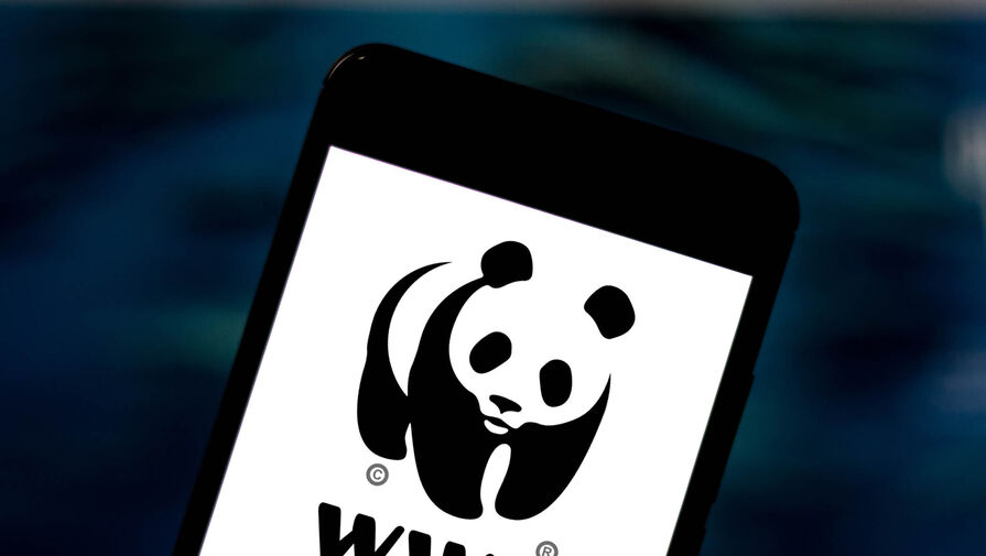 WWF пообещал оспорить через суд оспаривать свое включение в список иноагентов