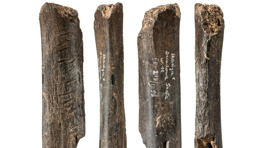 Ученые нашли один из древнейших культурных артефактов неандертальцев в Евразии