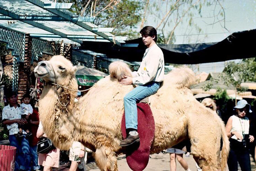 Участник группы &laquo;На-На&raquo; певец Владимир Политов верхом на&nbsp;верблюде