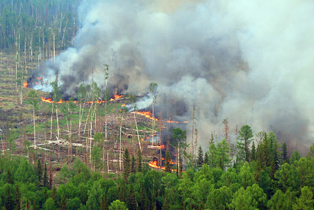 В Бурятии и Забайкальском крае горит около 400 га леса