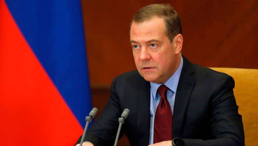 Медведев выразил обеспокоенность случаями заражения оспой обезьян в Европе