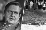 Убийство премьер-министра Улофа Пальме было совершено 28 февраля 1986 года на центральной улице Стокгольма Свеавеген в момент, когда глава правительства вместе с женой и без охраны возвращался из кинотеатра «Гранд». Пальме умер мгновенно, а личность преступника установили уже после его смерти, в 2000 году. Почему был убит шведский премьер до сих пор неизвестно — существуют версии об операции спецслужб, заговоре правых экстремистов и даже случайном убийстве