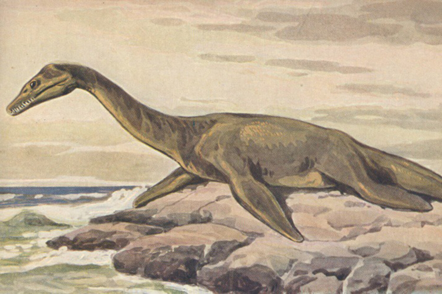 Морские динозавры 3d путешествие в доисторический