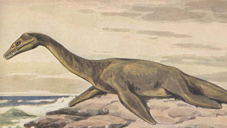 Ученые нашли останки древнейшего морского динозавра в Южном полушарии