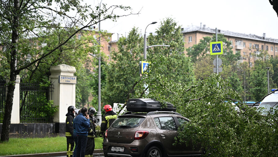 Более 500 автомобилей повреждены в результате непогоды в Москве и области