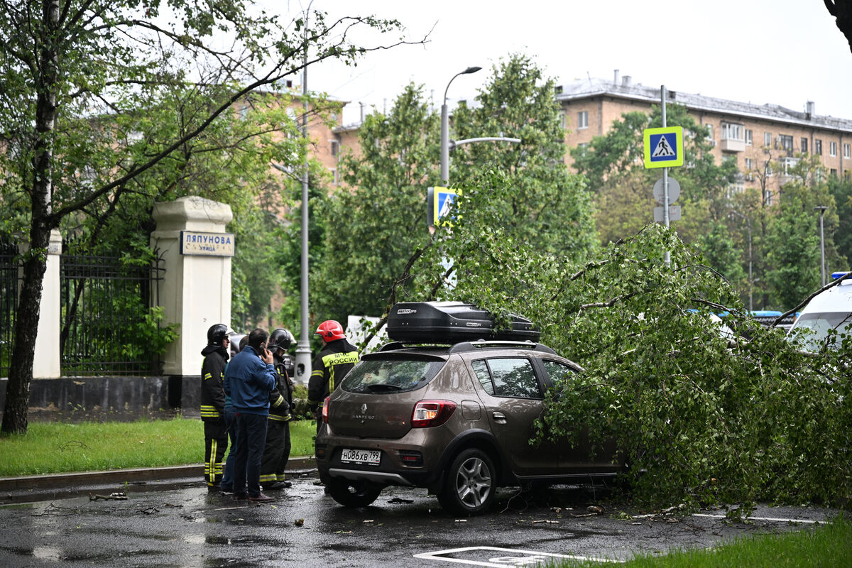 Более 500 автомобилей повреждены в результате непогоды в Москве и области -  Газета.Ru | Новости