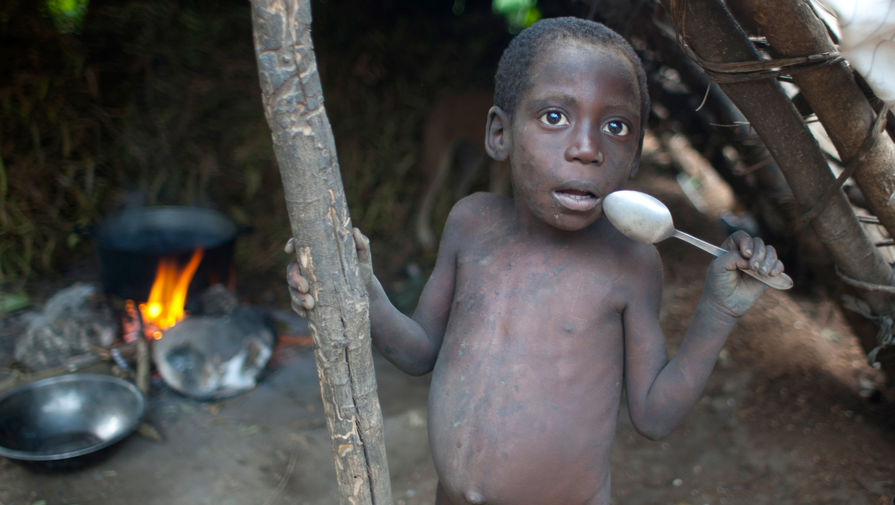 Постпред Египта в ООН заявил о надвигающемся голоде в Африке