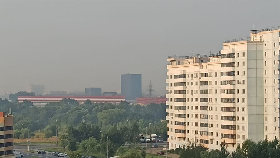 Синоптик предупредил москвичей о максимальной концентрации смога из-за пожаров в Рязани
