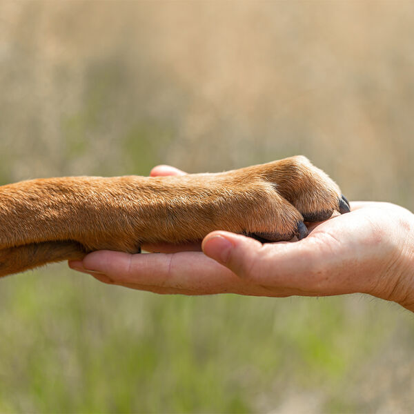 6 ноября — какой сегодня праздник? Что отмечают в этот день в России и мире