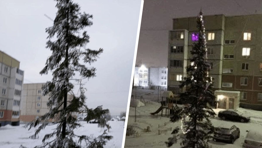 На Урале не поняли жалоб жителей на облезлую елку