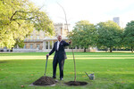 Король Великобритании Карл III сажает липу возле Чайного домика в саду Букингемского дворца, 4 ноября 2022 год