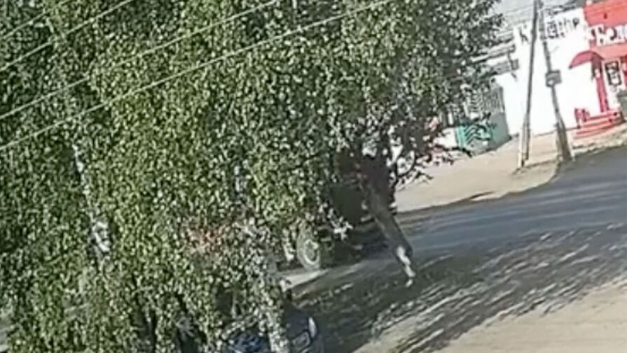 В Ижевске самосвал задавил катавшегося на электросамокате пенсионера