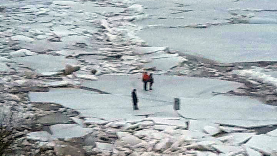 В Новгородской области спасли троих детей и собаку, катавшихся на льдине
