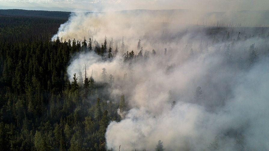 В двух районах Приамурья введен режим ЧС из-за природных пожаров