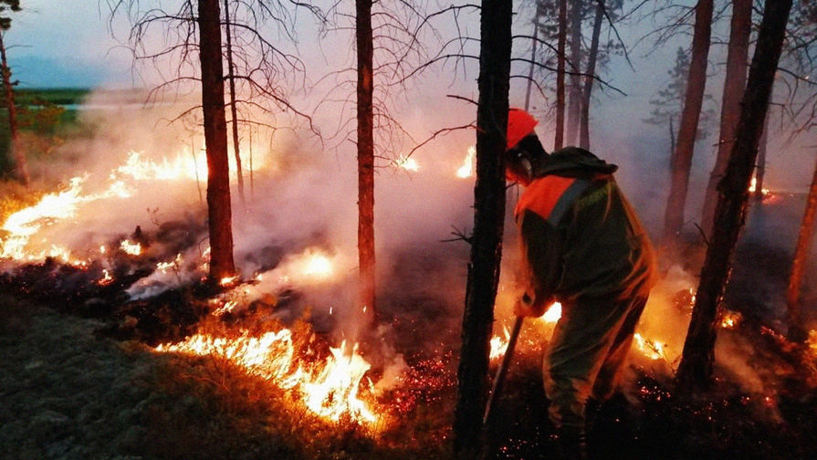 Представитель Рослесхоза оценил ситуацию с лесными пожарами в Сибири