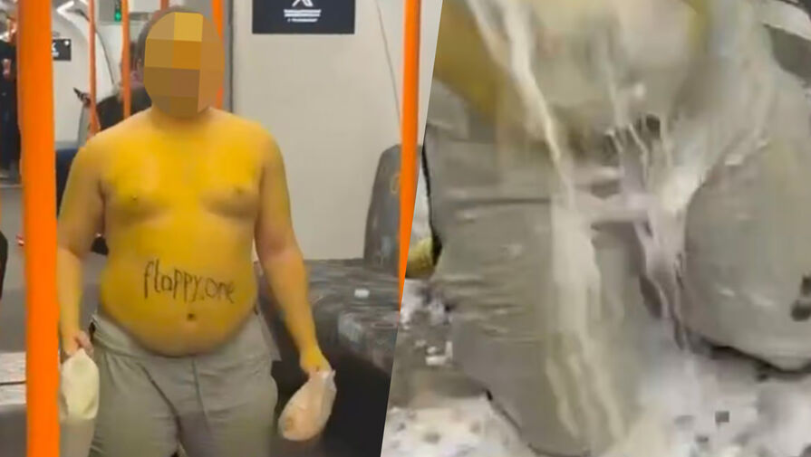 Мужчина в костюме утки облил себя молоком с хлопьями в вагоне метро