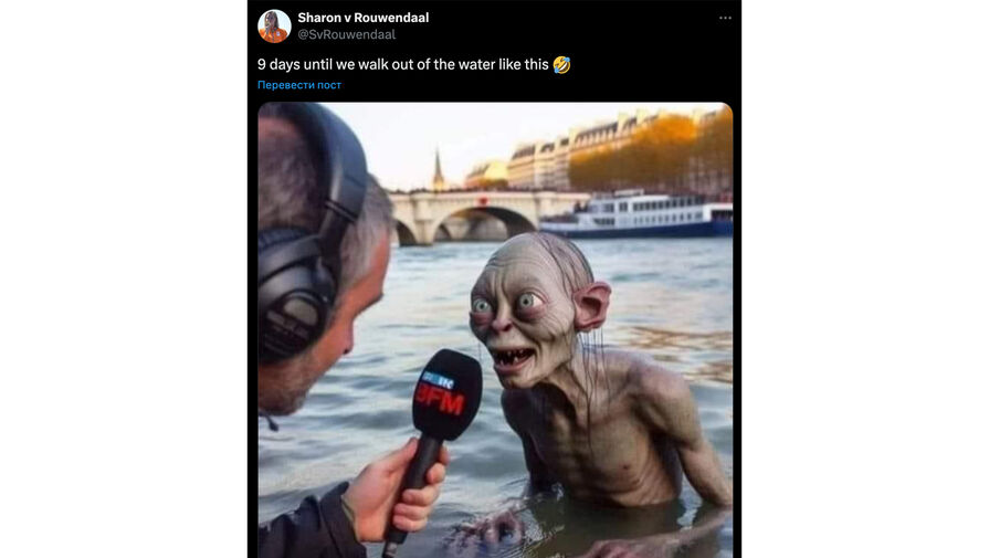 Олимпийская чемпионка высмеяла воду в Сене картинкой с Голлумом