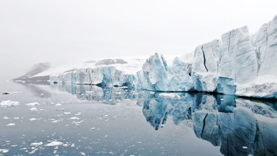 Научный центр Роснефти представил биопрепарат для очистки северных морей