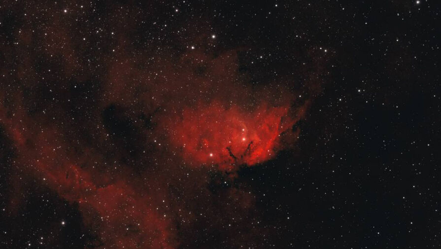 Роскосмос подарил женщинам на 8 Марта звездные цветы, Сердце и Душу