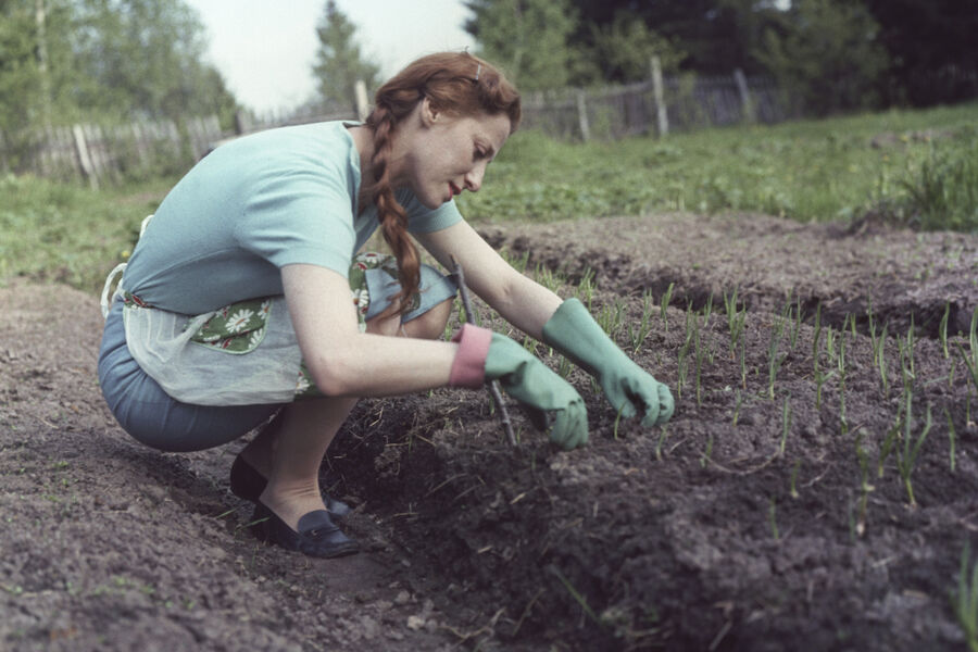 Балерина Майя Плисецкая на&nbsp;даче в&nbsp;Подмосковье, 1&nbsp;июня 1962&nbsp;года