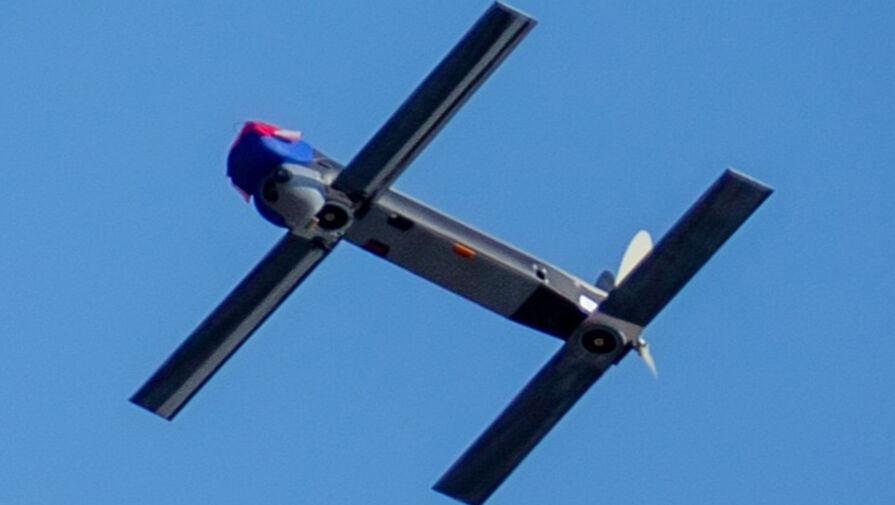 США собираются поставлять Украине дальнобойные дроны-камикадзе Switchblade 600