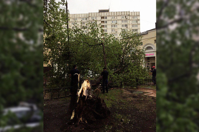 Последствия грозы в Москве, 9 мая 2019 года