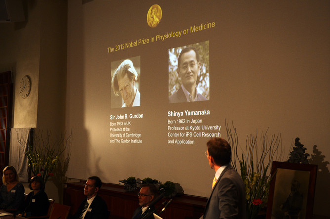 Первые нобелевские лауреаты — Джон Гёрдон и Синья Яманака.