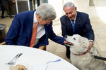 Государственный секретарь США Джон Керри и Биньямин Нетаньяху со своей собакой Кайей 