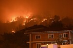 Лесные пожары в турецком городе Карабук, 26 июля 2025 года