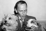 Фрэнк Синатра c собаками, 1957 год