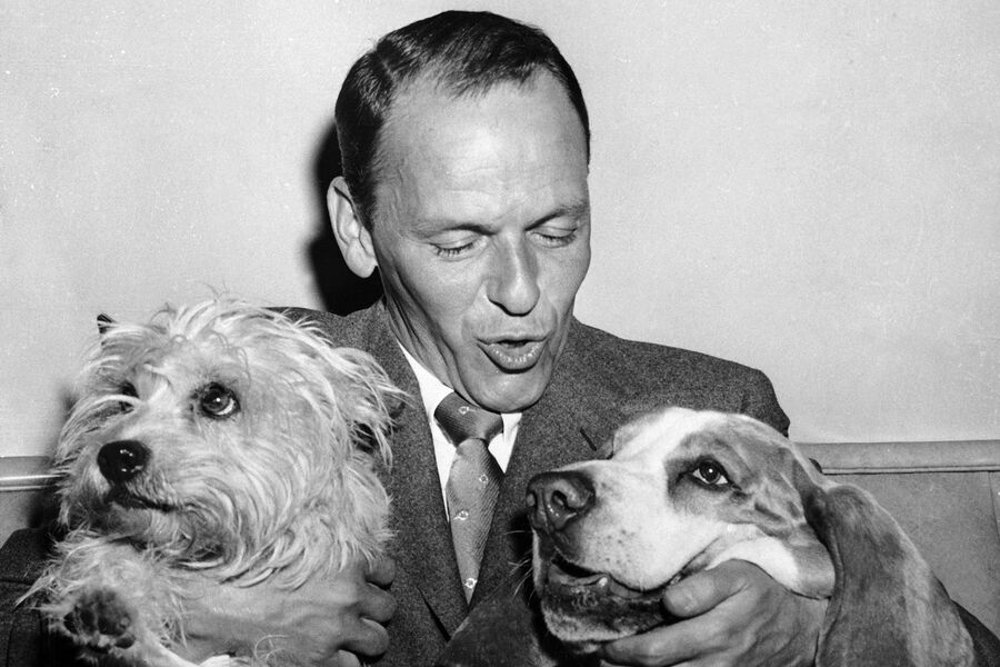 Фрэнк Синатра c собаками, 1957&nbsp;год