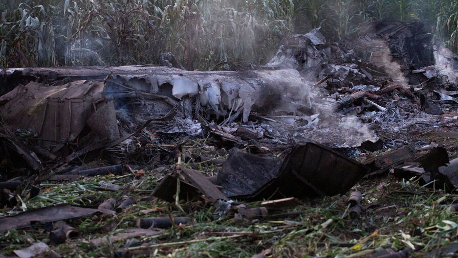 Минобороны Сербии: упавший в Греции украинский Ан-12 вез в Бангладеш оборонную продукцию