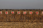 Табличка «Будьте инициативны для соблюдения порядка вдоль границы» на границе между Северной Кореей и КНР около китайского города Даньдун, ноябрь 2017 года