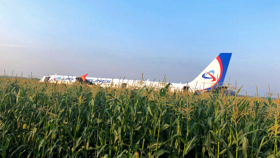 На месте аварийной посадки самолета A321 «Уральских авиалиний» в Подмосковье, 15 августа 2019 года