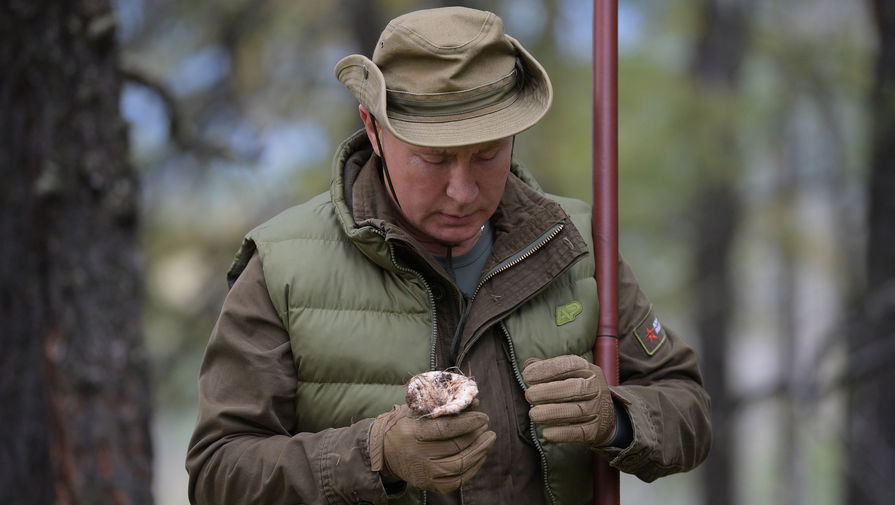 Президент России Владимир Путин во время прогулки в&nbsp;тайге, фотография опубликована 7 октября 2019 года