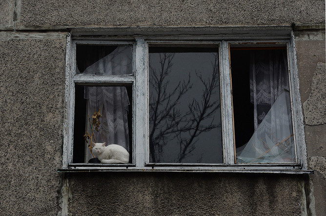 Кошка в окне с выбитыми стеклами одного из пострадавших в результате обстрелов во время боевых действий жилых домов