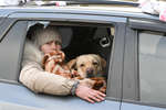 A girl with a dog in the car leaves Mariupol, March 2022