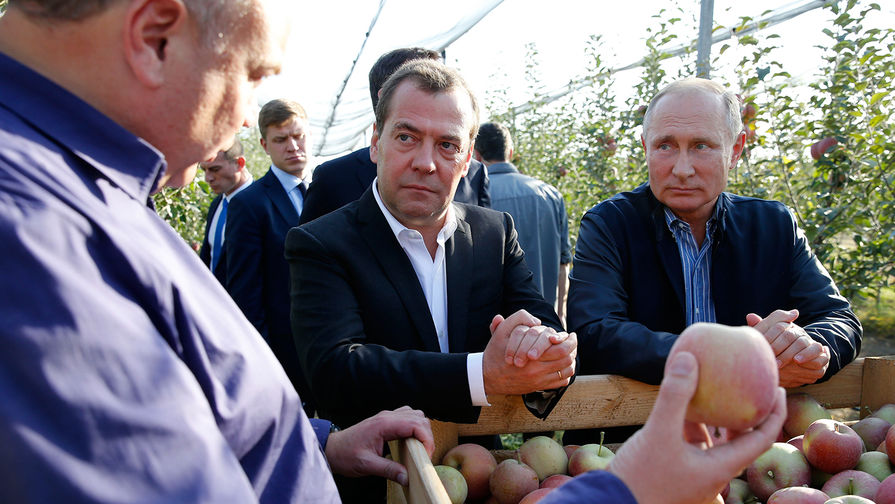 Президент России Владимир Путин и председатель правительства России Дмитрий Медведев во время осмотра яблоневых садов в&nbsp;Ставропольском крае, 9 октября 2018 года