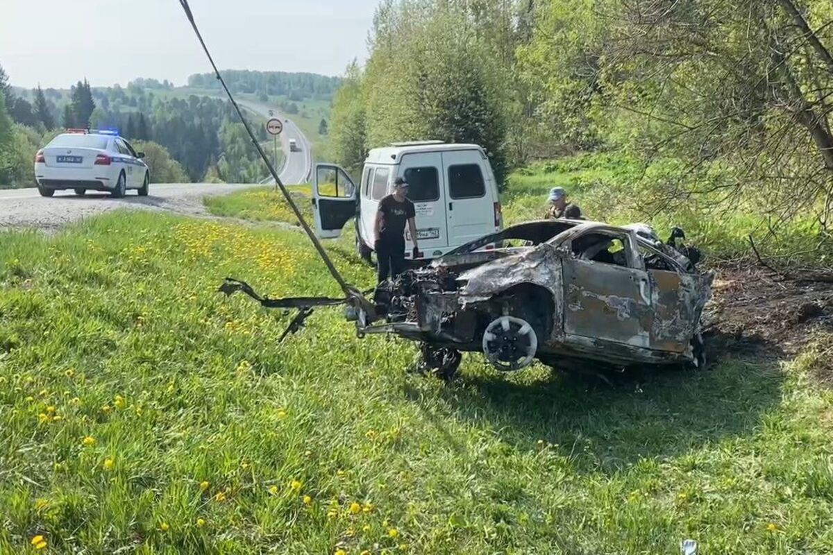 Автомобиль Toyota сгорел после удара о дерево - Газета.Ru | Новости