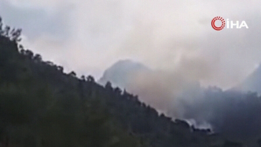 На территории турецкого курорта вспыхнул лесной пожар
